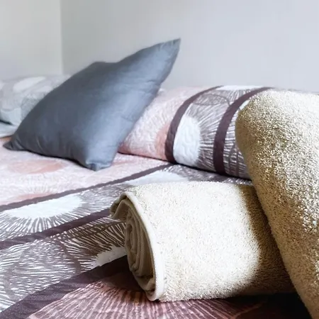 Céntrica Y Amplia Vivienda Turística Con Wifi