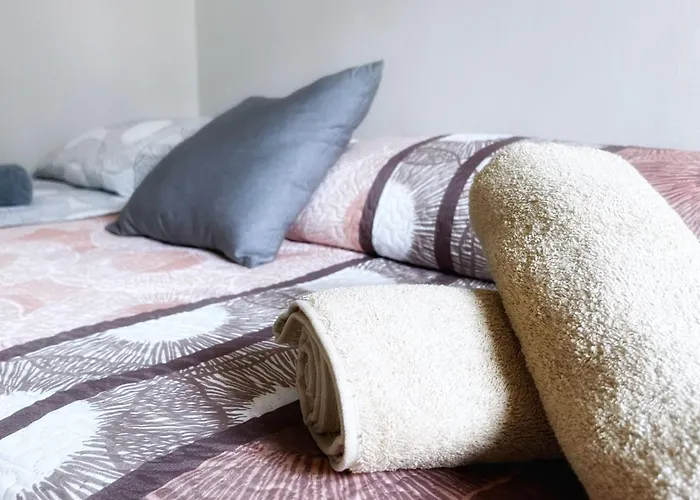 Céntrica Y Amplia Vivienda Turística Con Wifi